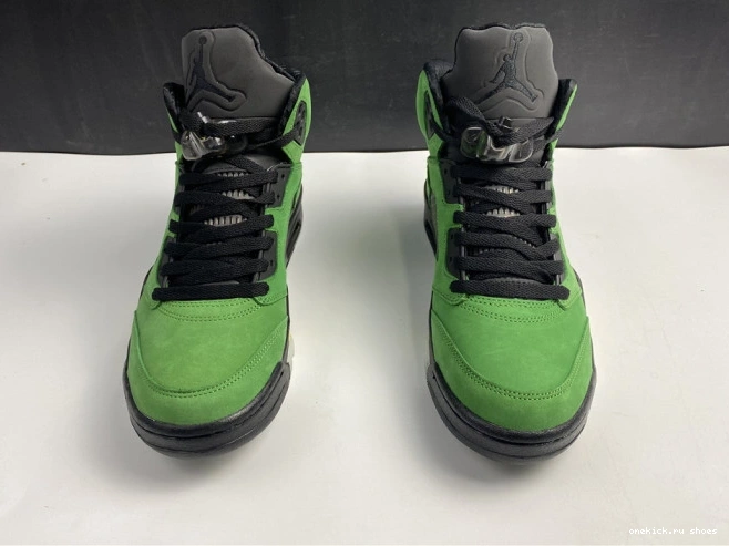 Cheap 5 CK6631-307 Air Ducks Oregon SE Jordan 0809
